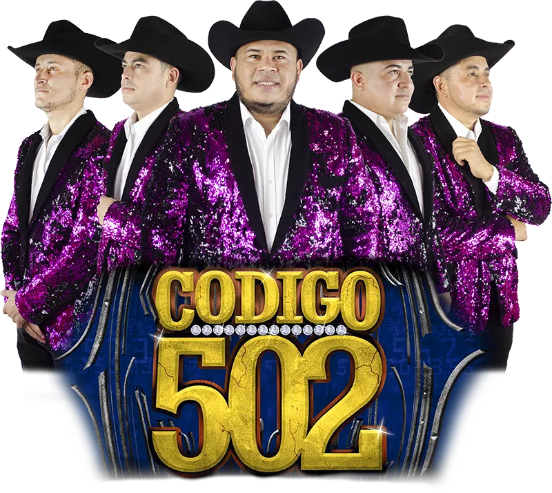 codigo_502